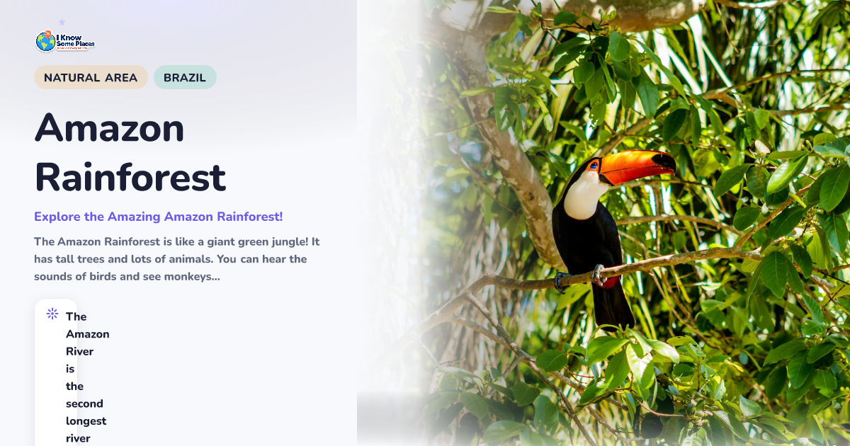 Amazon Rainforest