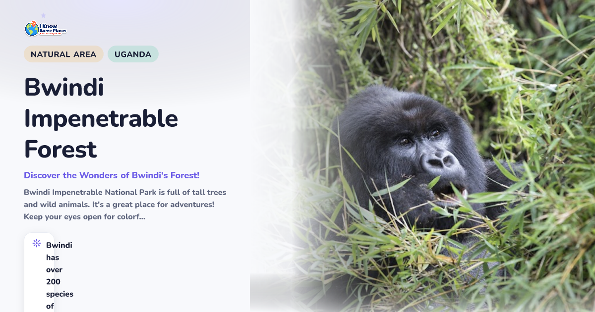 Bwindi Impenetrable Forest