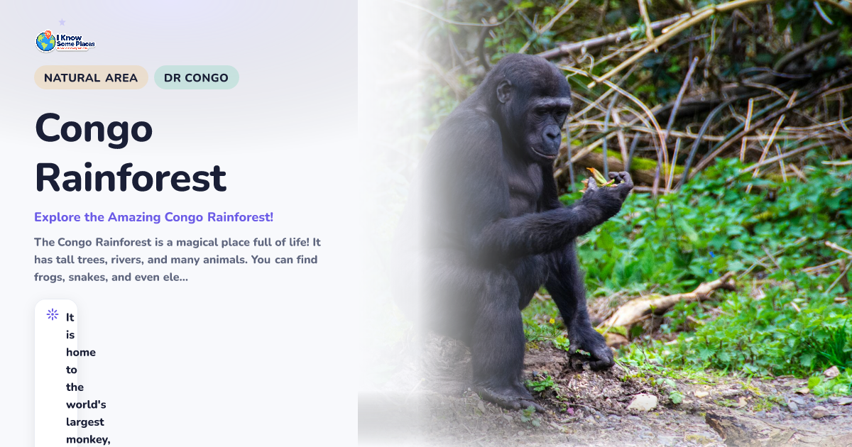 Congo Rainforest