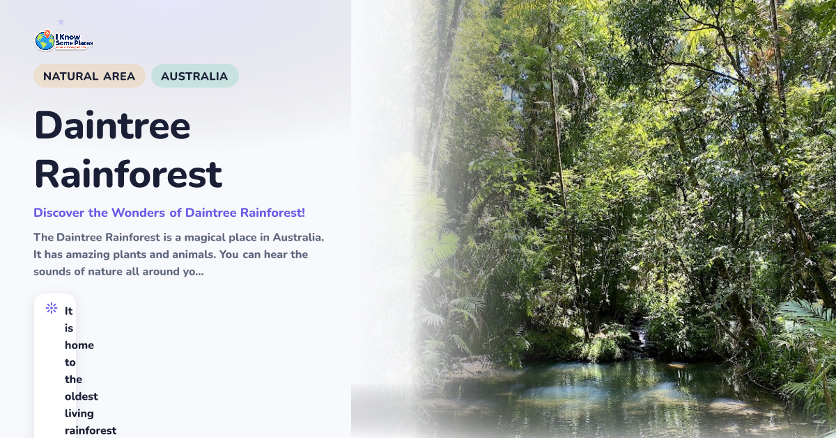 Daintree Rainforest