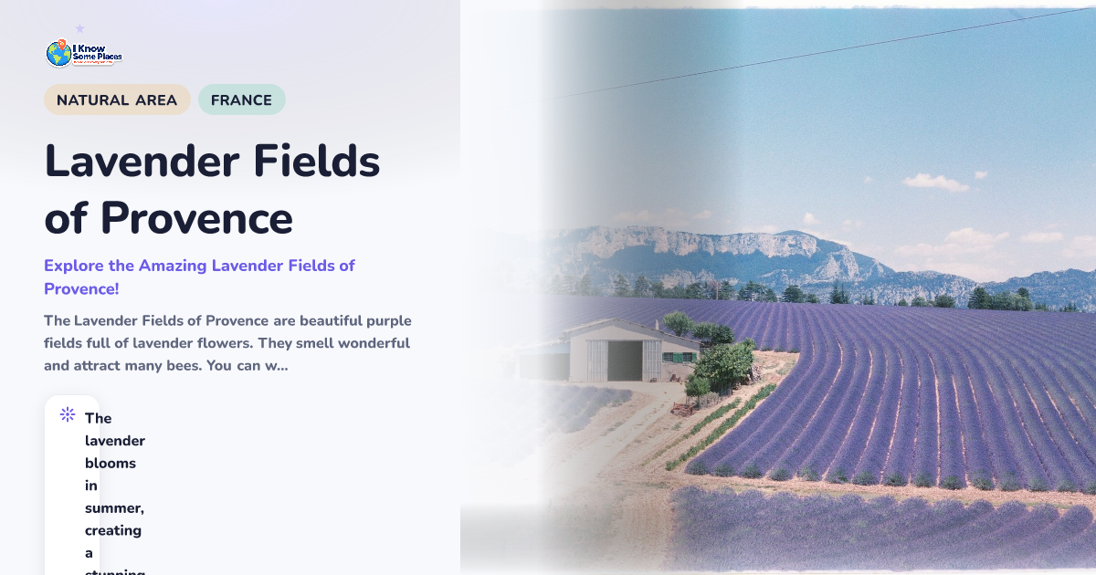 Lavender Fields of Provence