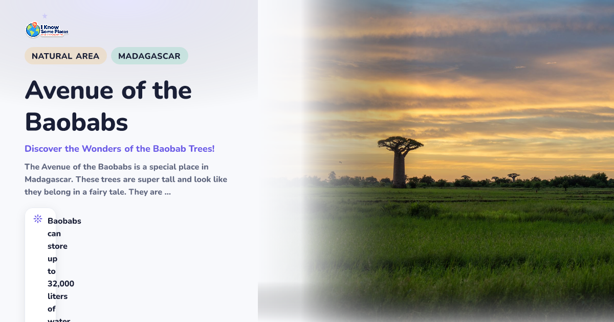 Avenue of the Baobabs