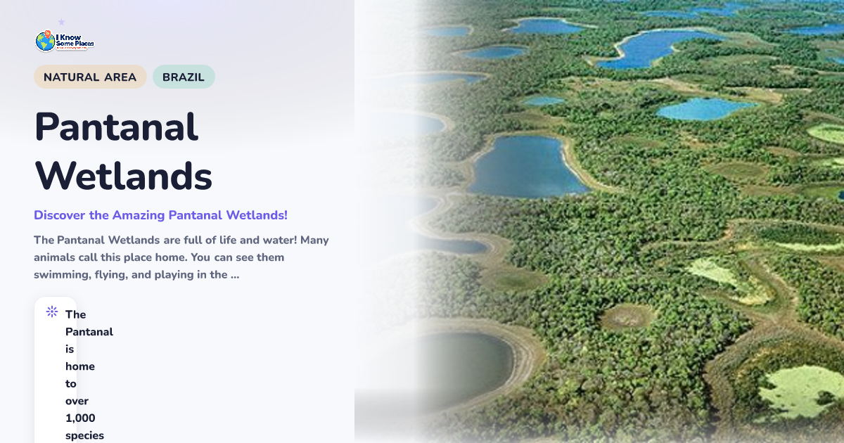 Pantanal Wetlands
