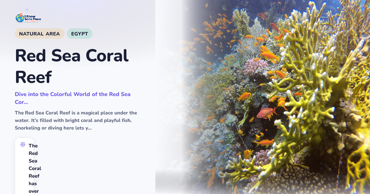 Red Sea Coral Reef