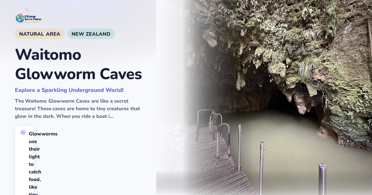 Waitomo Glowworm Caves
